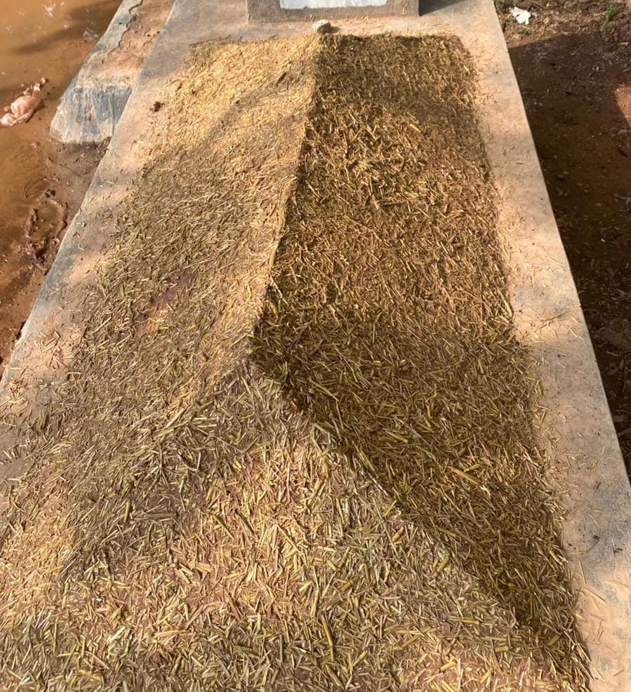 Grave cleaning before and after example